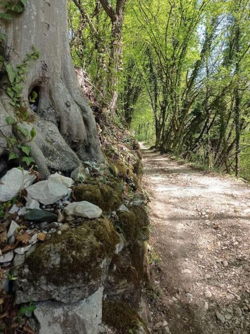 Casa Nella Natura Il Risveglio Degli Elfi Pedavena Kültér fotó
