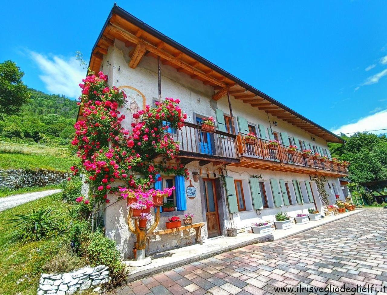 Casa Nella Natura Il Risveglio Degli Elfi Pedavena Kültér fotó
